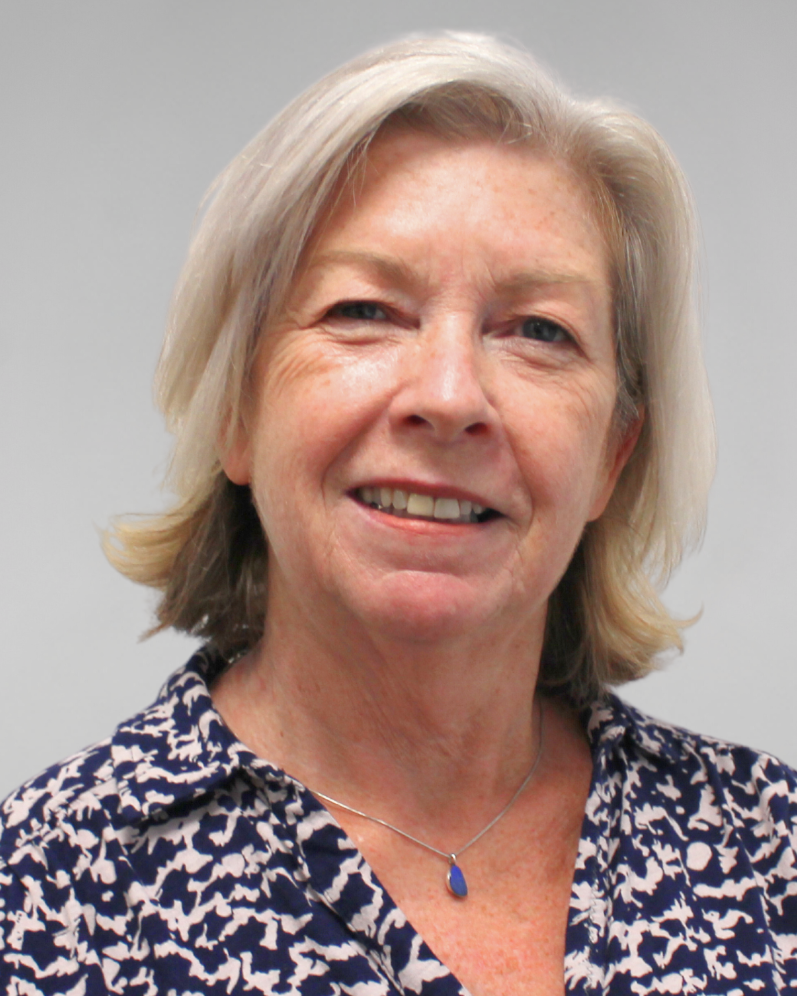 Carol Ann Kelly, Warrington South